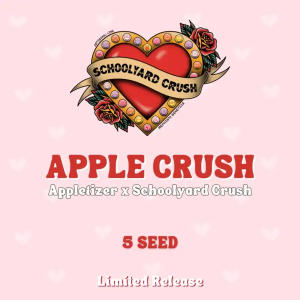 Apple Crush Auto Cannabis Seeds by Mephisto Genetics