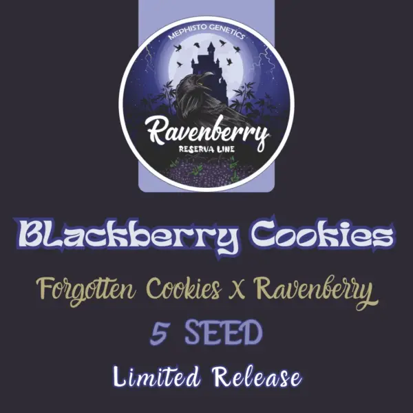 Blackberry Cookies Auto Cannabis Seeds by Mephisto Genetics