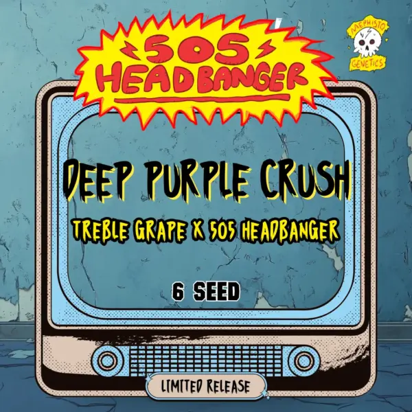 Deep Purple Crush Cannabis Seeds by Mephisto Genetics