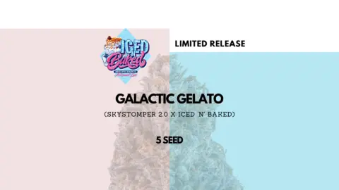Mephisto Genetics > Galactic Gelato