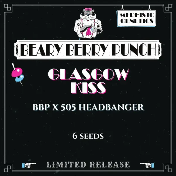 Glasgow Kiss Cannabis Seeds by Mephisto Genetics