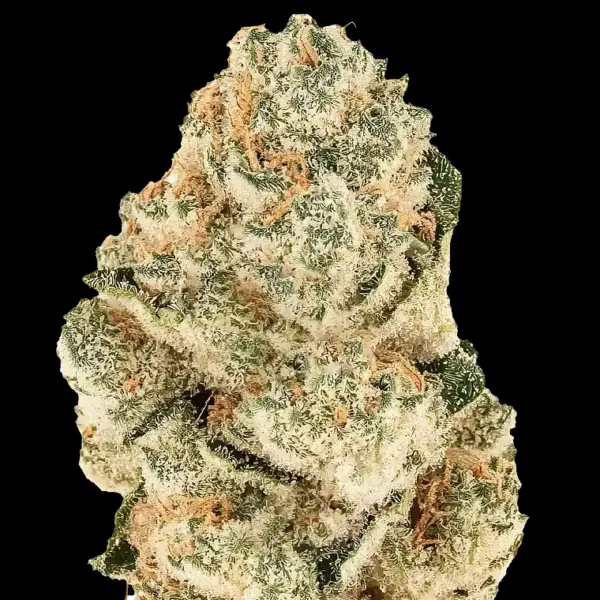 Gorilla Melon Cannabis Seeds by Fastbuds