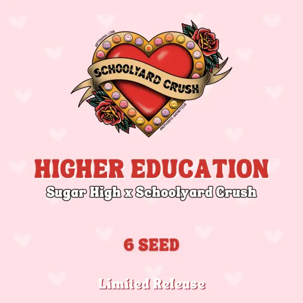 Higher Education Cannabis Seeds by Mephisto Genetics