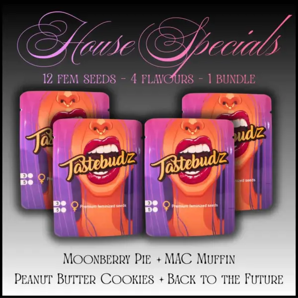 House Specials Feminized Mix Cannabis Seeds by Tastebudz