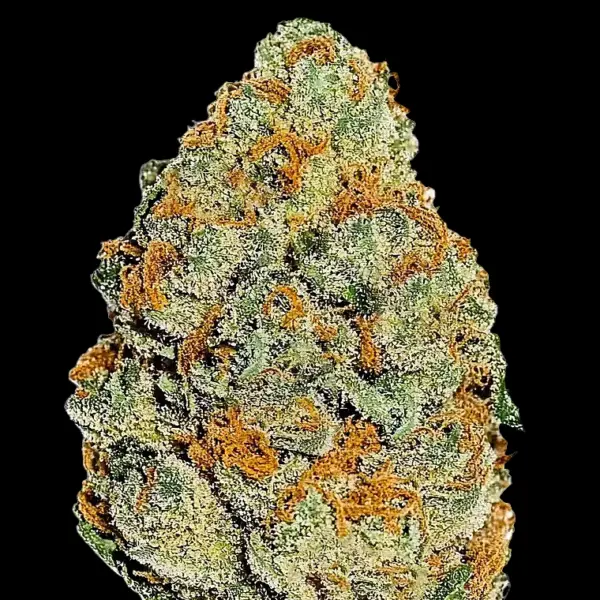 Lemon Mandarin Fem Cannabis Seeds by Fastbuds