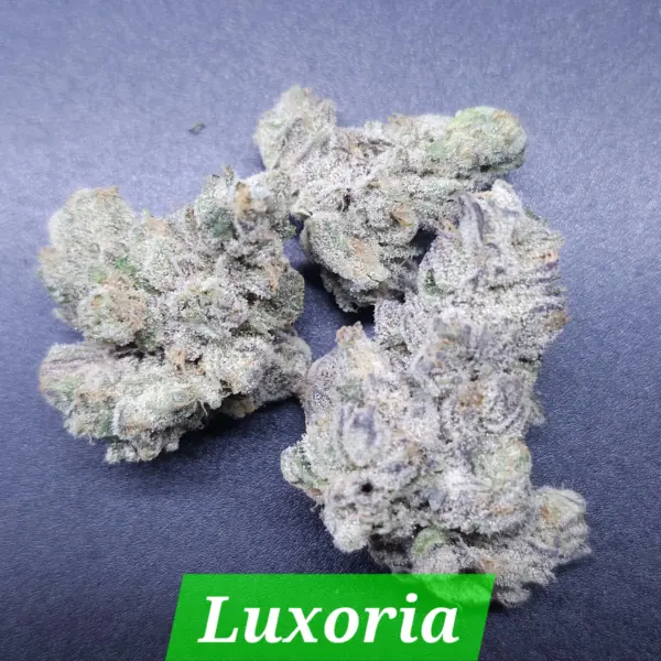 Luxuria Cannabis Seeds by In House Genetics