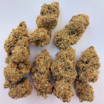 Magic Carrot Cannabis Seeds by Ace Seeds