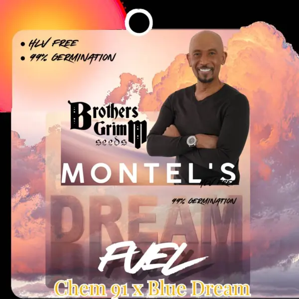 Montel's Dream Fuel Cannabis Seeds by Brothers Grimm Seeds