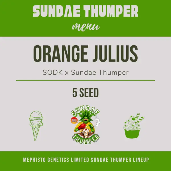 orange julius auto cannabis seeds by mephisto genetics