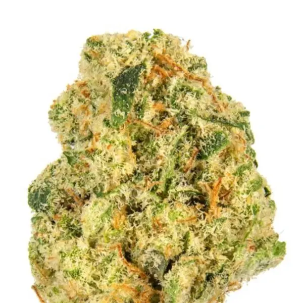 platinum gorilla cannabis seeds by in house genetics