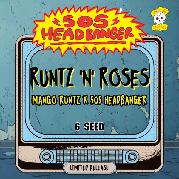 Runtz 'n' Roses Cannabis Seeds by Mephisto Genetics