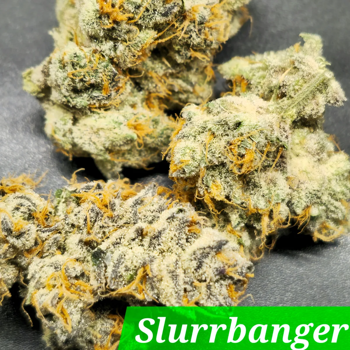 Slurrbanger Cannabis Seeds by In House Genetics