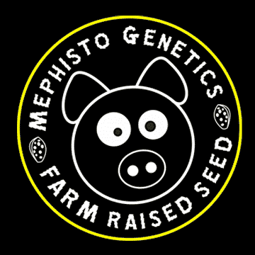 Mephisto Genetics Logo