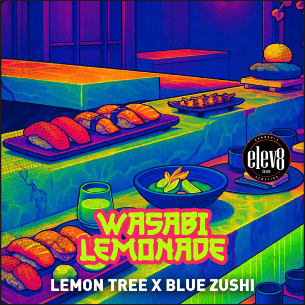 wasabi lemonade cannabis seeds by elev8 seeds